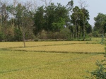 474301052008(10).JPG