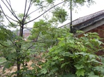 2389R0015321.jpg