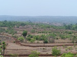 502620042008(57).JPG