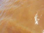 2012-09-21_14-27-05_CIMG0160.JPG