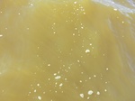 2012-09-21_14-26-48_CIMG0046.JPG