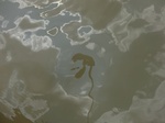 58605CIMG3055.JPG