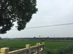 2017-09-10_08-37-14_33DF0FCF-2A78-40A3-9748-089294C40342.jpg