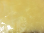 58102CIMG2396.JPG