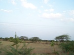 1684602052008(107).JPG
