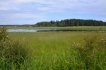 2017-06-05_14-16-44_E1.jpg