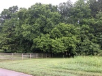 2017-07-02_07-52-32_4FC72FC1-A04F-422C-9EC7-49D36CCA77DF.jpg