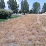 2018-07-04_14-26-33_North.jpg