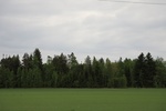 2018-04-14_14-03-46_2017-06-11 06.40.14.jpg