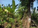 13948IMG_4238.JPG