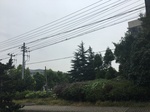2017-09-10_08-34-36_54FAD879-511D-4F2C-8C94-B143D93C4DCE.jpg