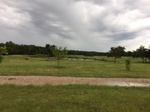 2017-07-01_08-34-18_#CoCoRaHSMJul17_looking south.jpg