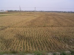 3173R0017207.JPG