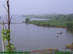 1180R0015039_tag.jpg