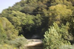 2022-01-20_16-06-26_4E8A3480.JPG