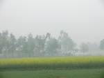 40207CIMG9104.JPG