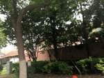 2017-09-12_10-46-33_8186E5BA-C133-4B98-BD5B-6BDBD3C44C5F.jpg