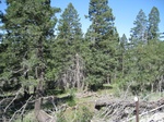 2012-10-05_19-36-55_NM-OT-1-1.JPG
