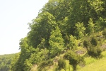 2022-06-11_15-55-26_9F5A5742-8DE1-41C3-9909-CC43B443F3A9.jpeg