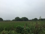 2017-09-11_22-24-57_CEB1A355-186D-4371-BC1E-EE09D9EAA918.jpg