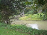 2012-09-28_23-00-34_IN-GR-11-4.JPG