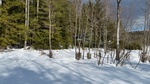 2017-03-02_15-14-39_Feb17-210-ME.jpg