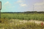 2022-06-11_17-39-21_6B86BB44-8339-4F41-B614-F76474EA2113.jpeg