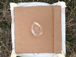 2020-10-30_10-44-37_Lake Arcadia Feb 15-2020 Trap 15.png
