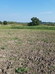 2017-09-25_08-49-19_North.jpg