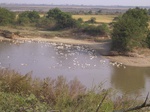 2827 050.jpg