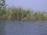 1409R0015154_small.jpg