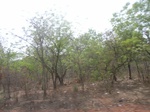 4015RIMG0319.JPG