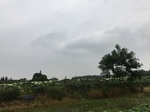 2017-09-11_23-00-36_BFB9BA92-C802-4B1C-8AAB-05FDC44B305A.jpg
