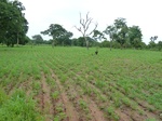 18692P1000530.JPG