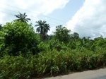 18223P1000059.JPG