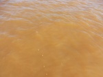 2012-09-21_14-26-06_CIMG0150.JPG