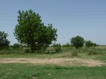 19159P1010005.JPG