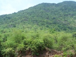 496019042008(48).JPG