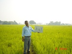 6697gt141-cropland-1.jpg
