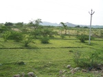 529527042008(92).JPG