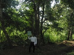 7755gt017a-forests-mature-sec.jpg