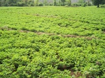 506320042008(112).JPG