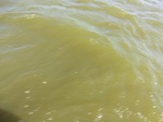 2012-09-21_14-26-08_CIMG0100.JPG