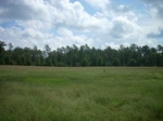 2012-10-11_22-34-46_SC-RC-30-East.JPG