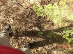 2012-10-02_20-53-30_CIMG0114.JPG