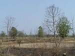 474801052008(15).JPG