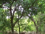 1718420042008(11).JPG