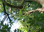 2012-10-17_20-32-18_384.JPG