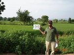 74450315c-irrigated-tank-rice.jpg