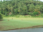 547411052008(44).JPG